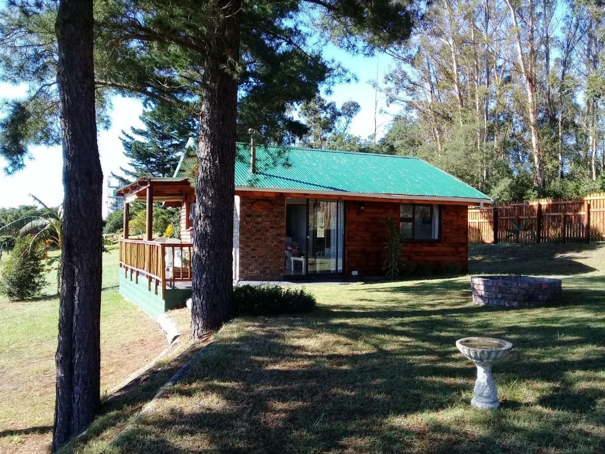 Wild Fig Cottage Седжфилд Экстерьер фото